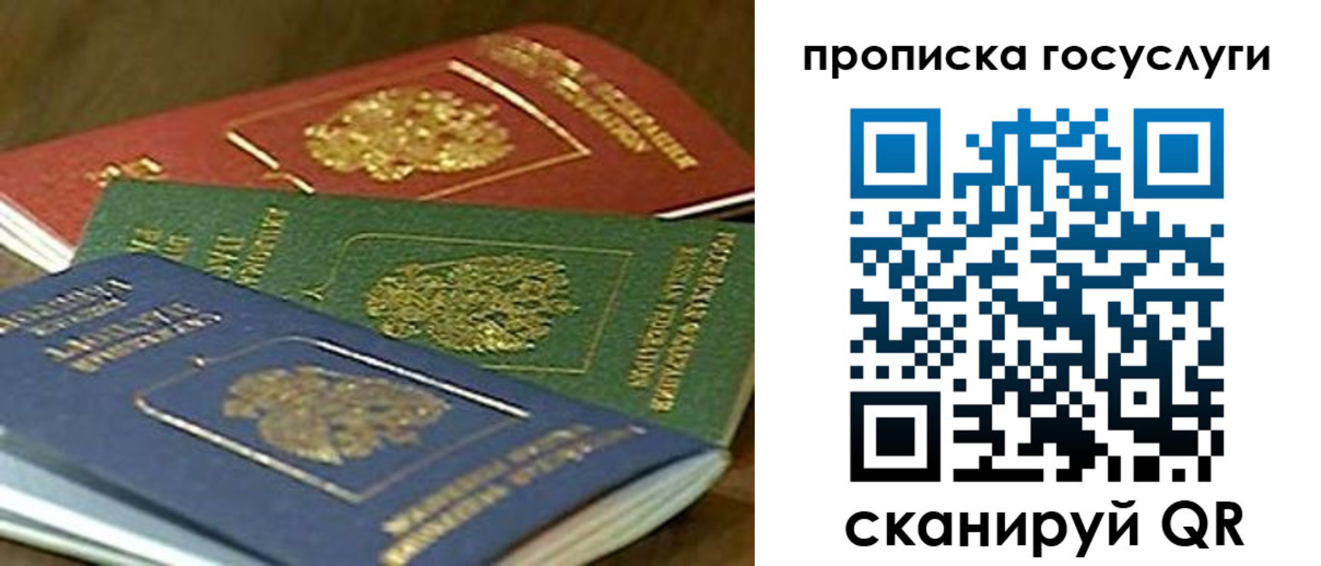 прописка гарантия в Александрове